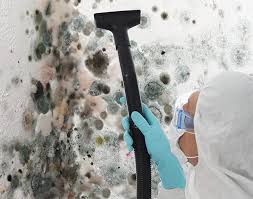 Why You Should Choose Our Mold Remediation Services in Springville, VA